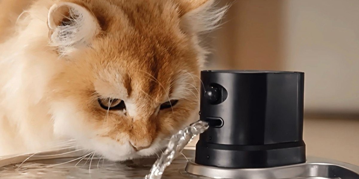 Why Clean Drinking Water for Pets Matters More Than You Think