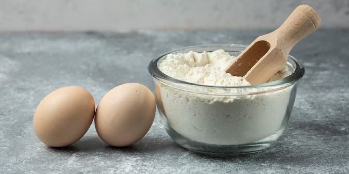 United States Casein Market Size & Forecast with Trends & Growth Outlook 2025–2033