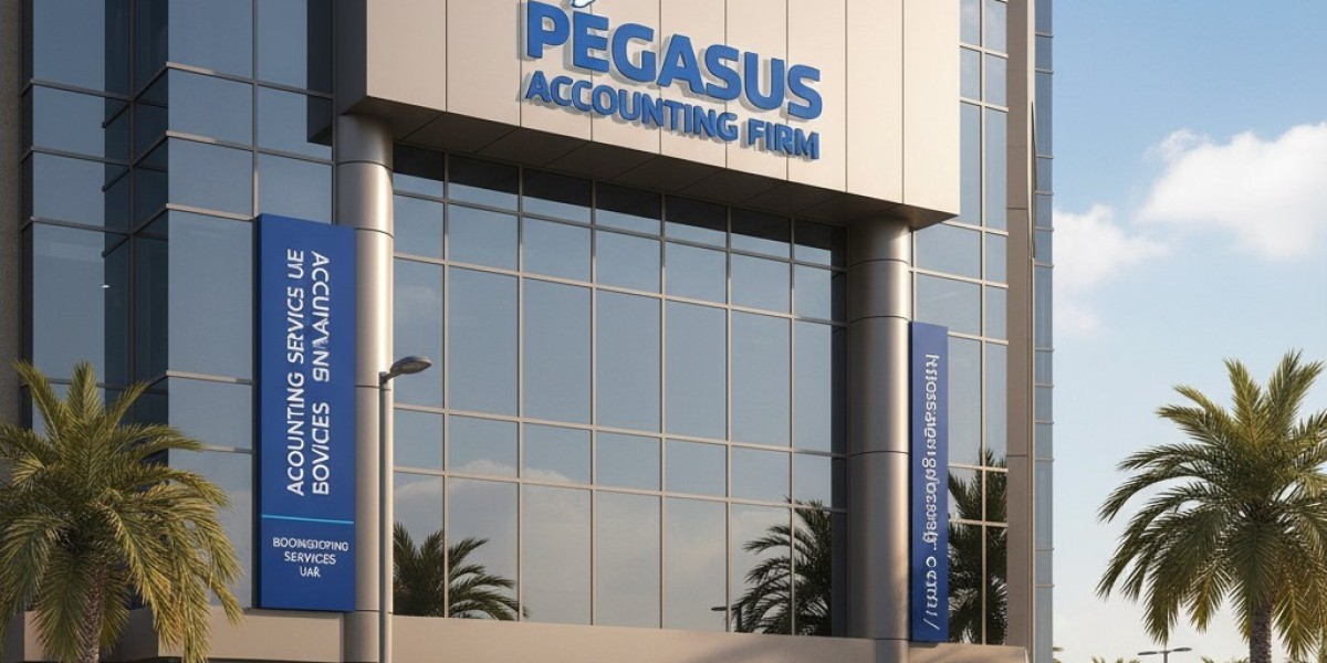 Pegasus Accounting Firm: Raising Financial Standards in the UAE
