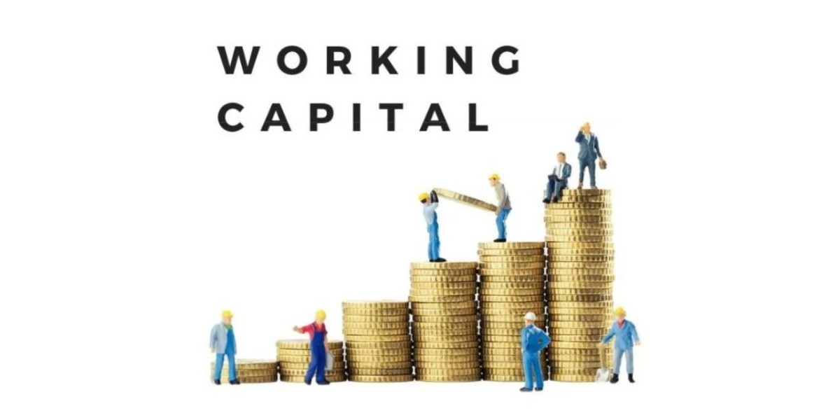 Fuel Your Business Growth with Instant Working Capital Loans