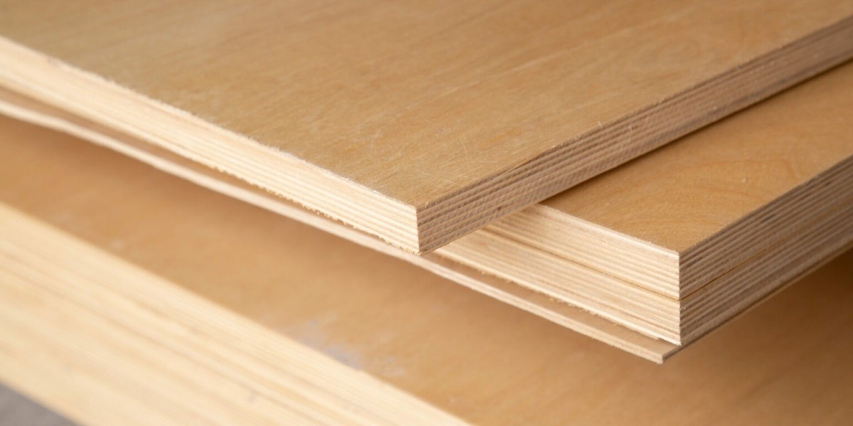 Exploring the Plan for Plywood Manufacturing Plant