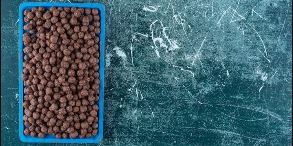 United States Aquafeed Industry Market Forecast – Size, Growth & Trends 2025–2033