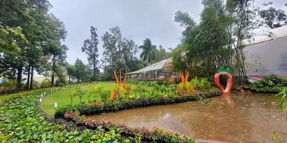Weekend Itinerary: 48 Hours at Magnus Caverns Near Mahabaleshwar – A Perfect Family Getaway