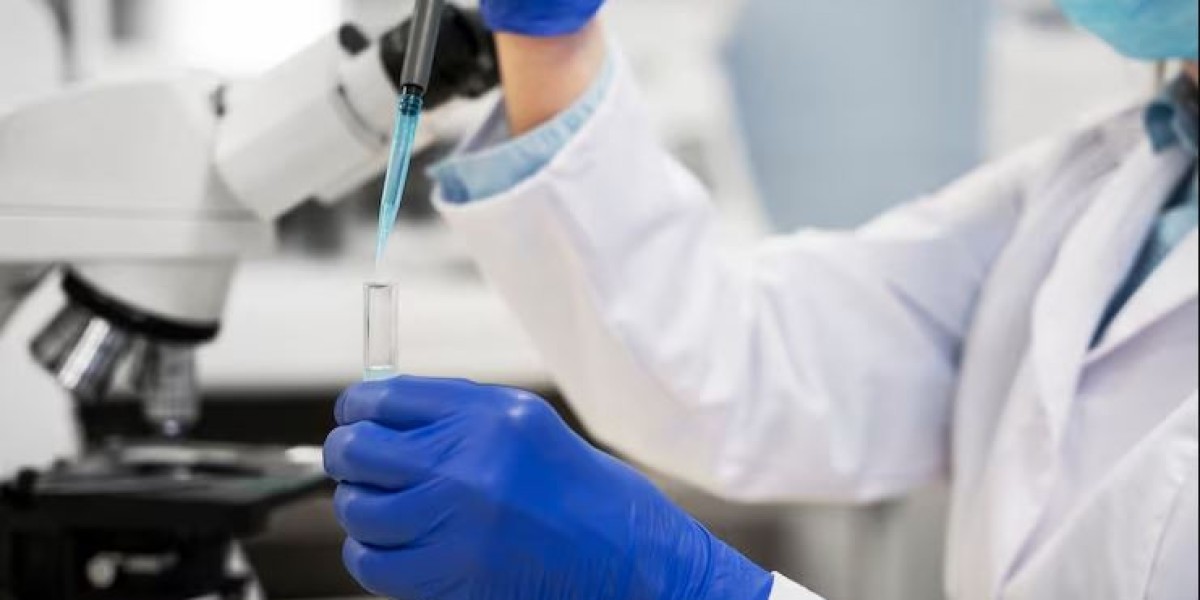 United States Bioanalytical Testing Services Market Growth Forecast – Trends & Demand Outlook 2025–2033