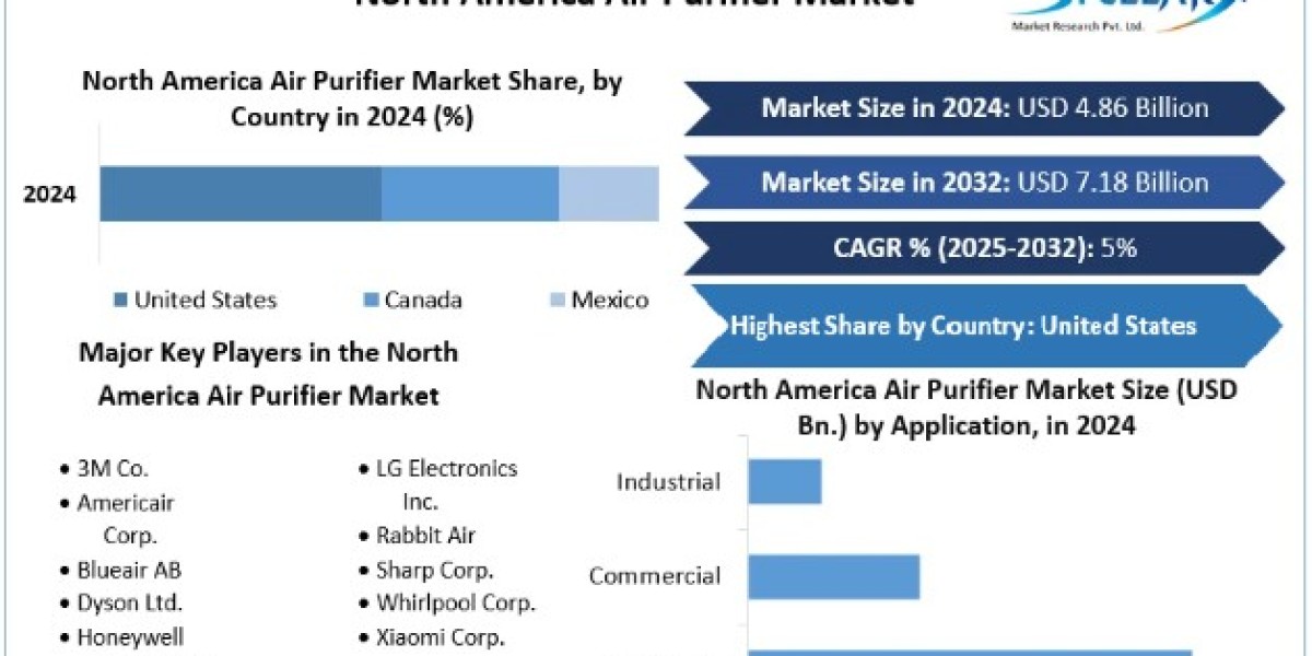North America Air Purifier Market Size, Share, Price, Trends, Growth, Analysis, Report, Forecast 2025 To 2032