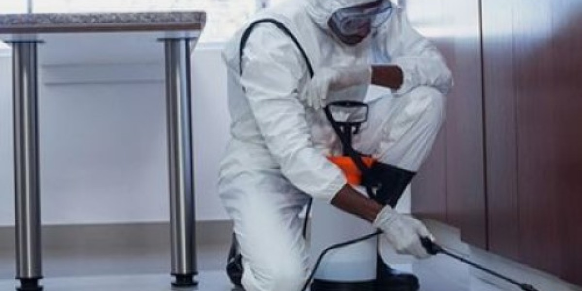 Trusted Pest Control Experts in Pasadena, California