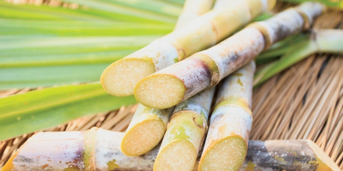 Setup Report on Sugar Cane Processing Plant- Detailed Process Flow