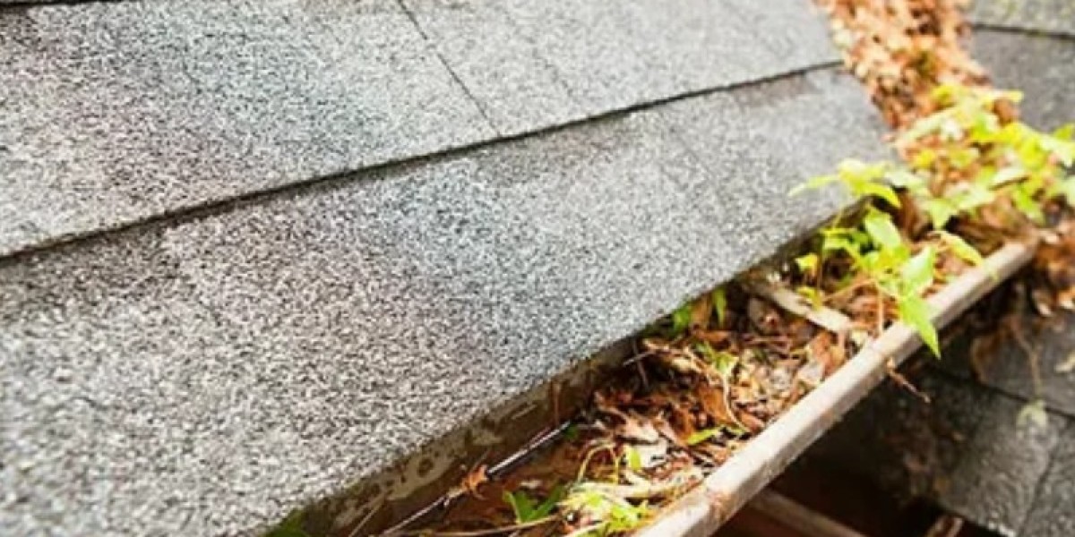 Gutter Cleaning: Essential Tips for a Safe and Efficient Home