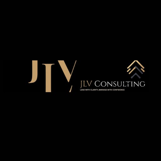 JLV Consulting