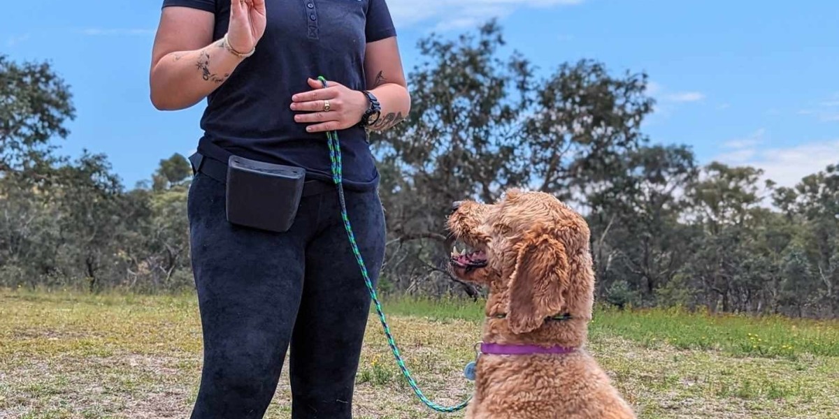 Socialisation Parks and Puppy-Friendly Spaces in Canberra