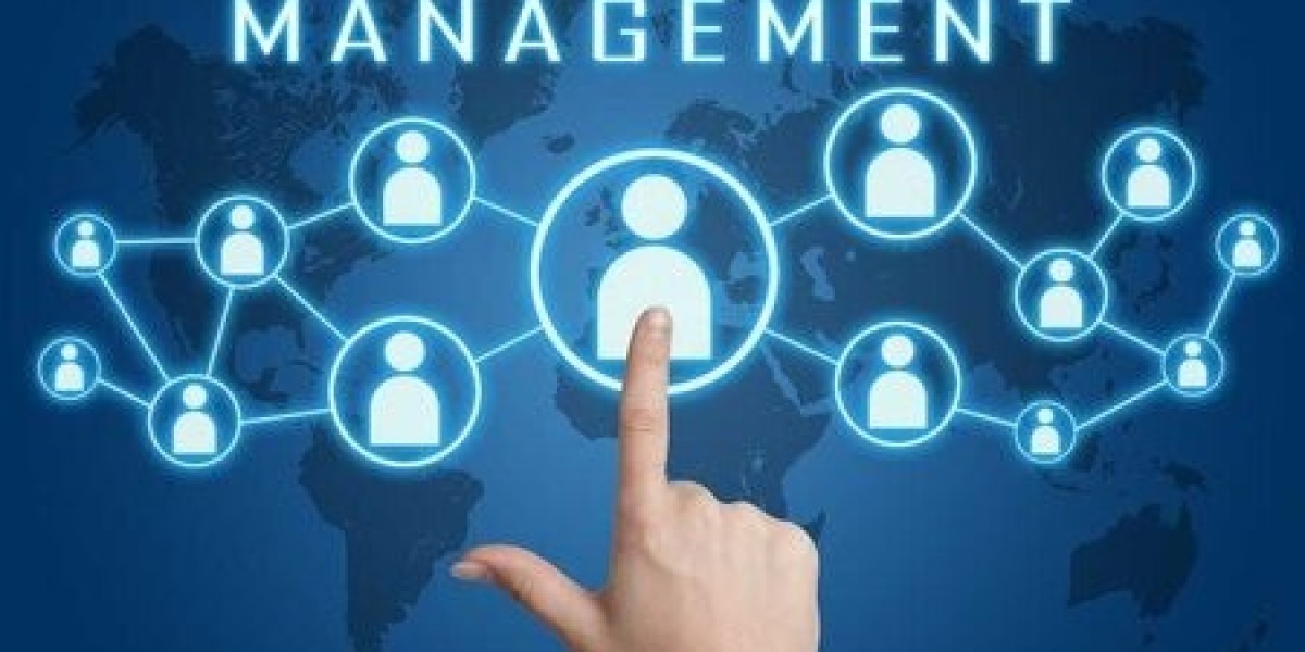 Project Management Consultants for Strategic Business Success