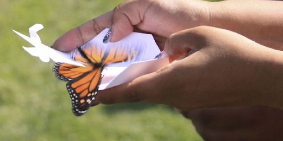 Butterfly Release Services: Making Your Event Unforgettable