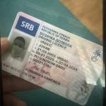 Williams Maltipoo Home Smith