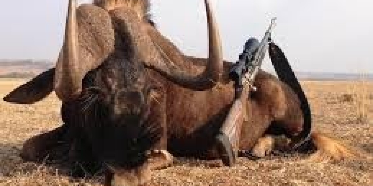 The Importance of Respectful Cultural Representation in African Hunting Safari Game Development