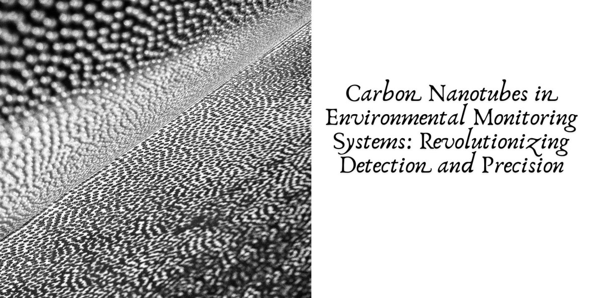Carbon Nanotubes in Environmental Monitoring Systems: Revolutionizing Detection and Precision