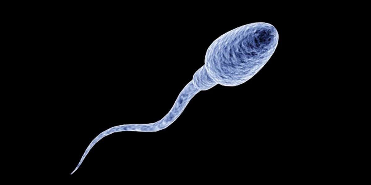 What are causes of abnormal sperm