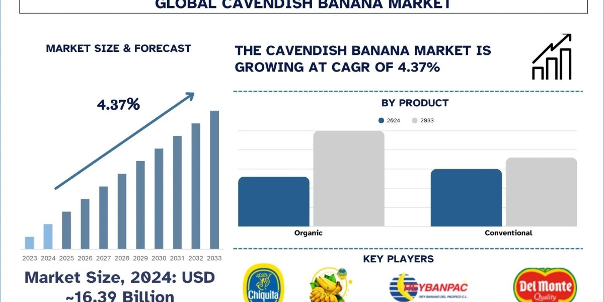 Cavendish Banana Market Report, Size, Share, Trends & Analysis 2033