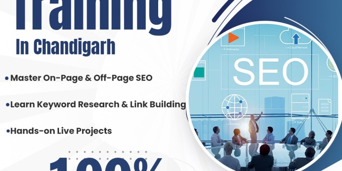 Master Your Digital Presence with Professional SEO Training