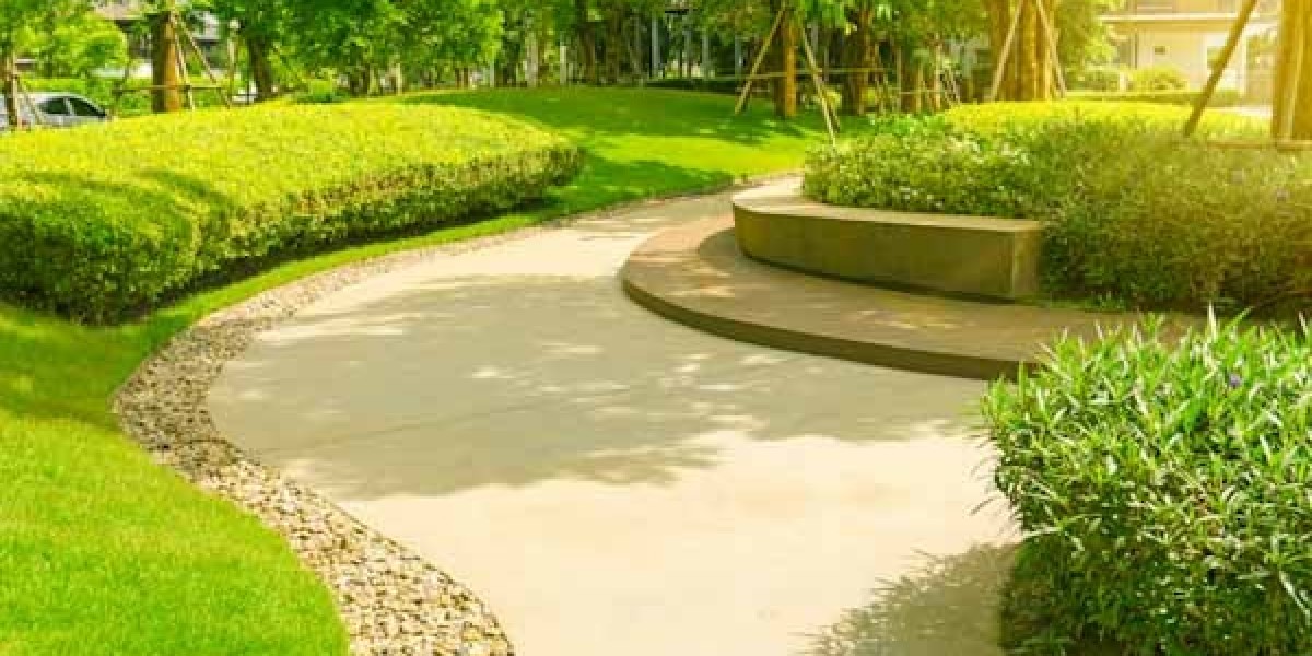 Lawn Edging Ideas: Transform Your Garden with Stylish and Practical Borders