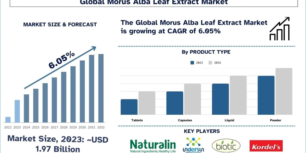 Morus Alba Leaf Extract Market Report, Size, Share, Trends & Analysis 2032