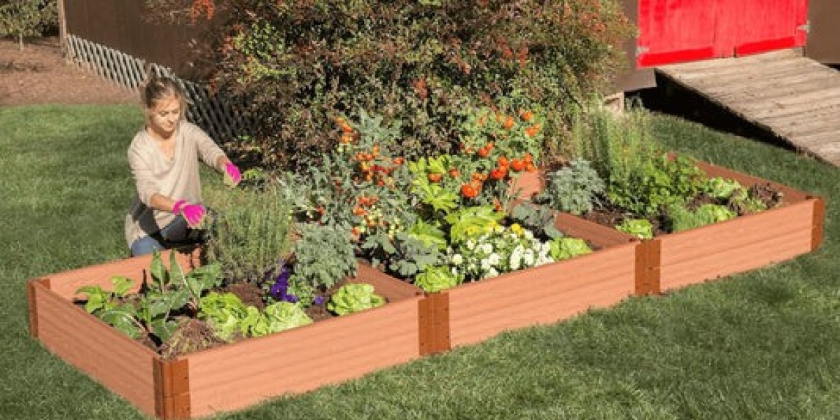 Essential Guide to Raised Garden Beds