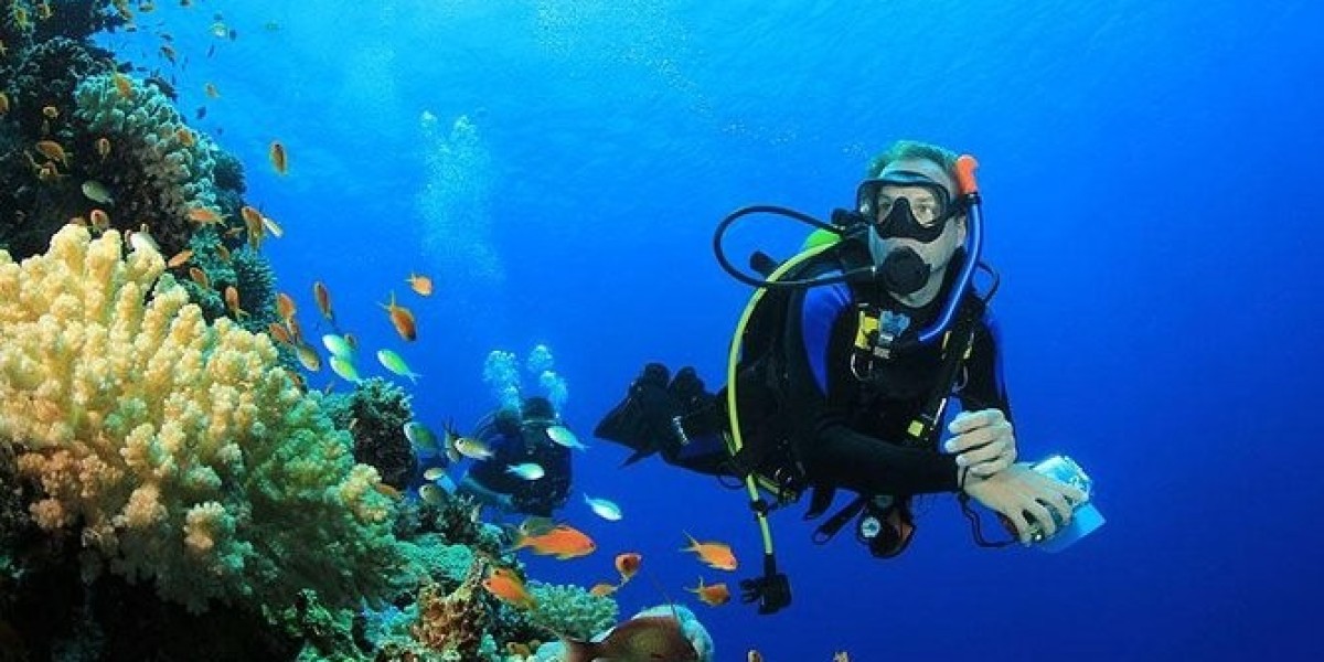 “Discover Egypt: A Journey Through Nile Serenity, Red Sea Adventures & Timeless Wonders”