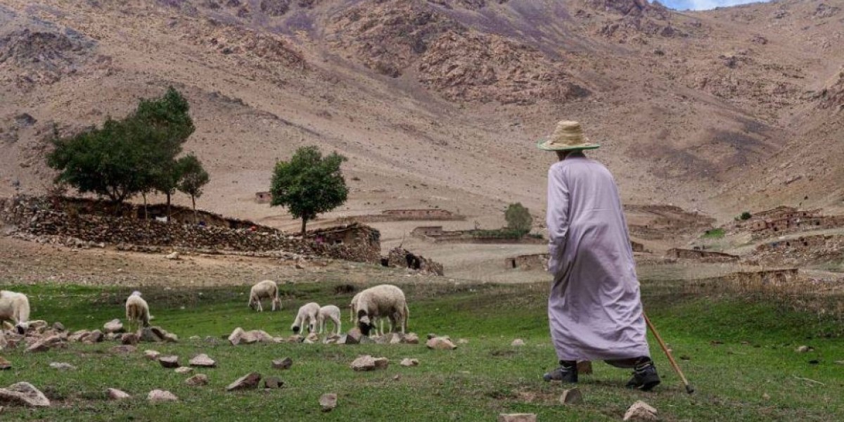 Unlock Your Creativity at a Moroco Photography Workshop