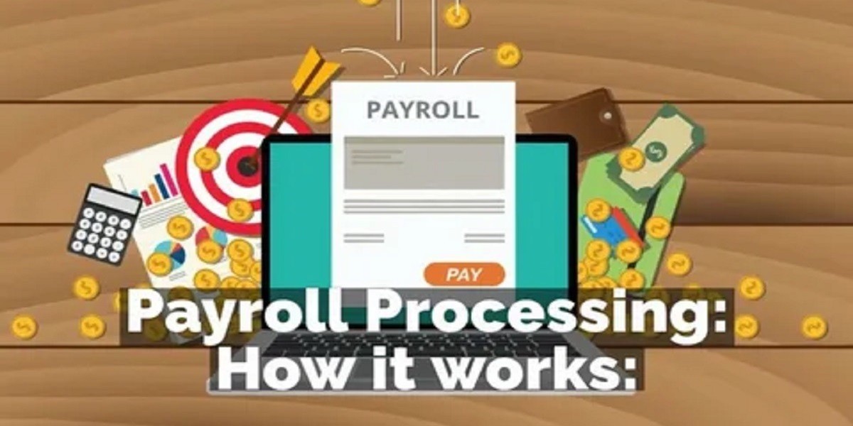 Best Payroll Software for Efficient Payroll