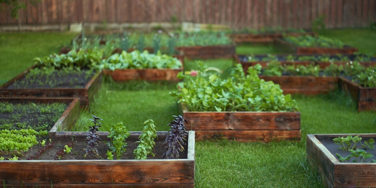 Build a DIY Veggie Patch in Your Backyard Step by Step/