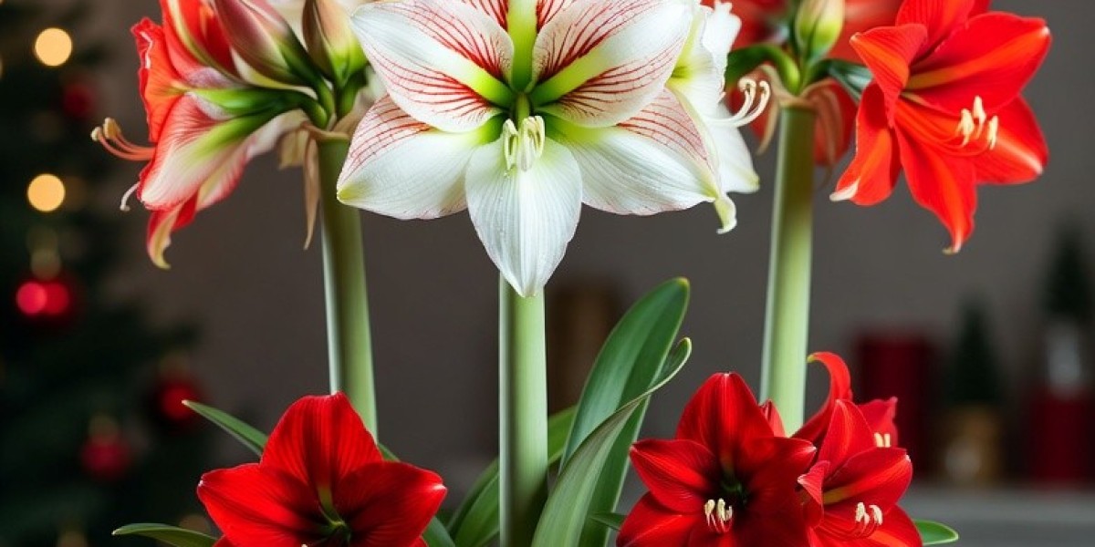 Christmas Flowers Delivery for Every Budget: Affordable Luxury for Your Home