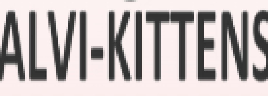 alvi kittens