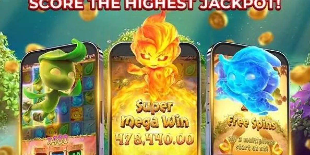 The Evolution of Slot Games in the Digital Era