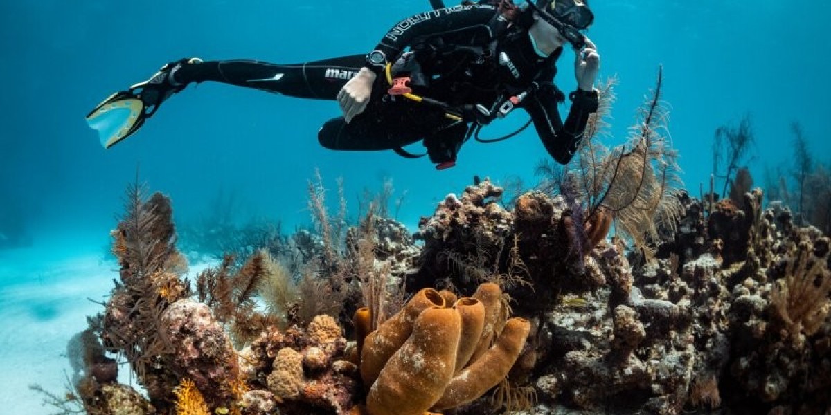 Discover the Ultimate Red Sea Adventure in Marsa Alam