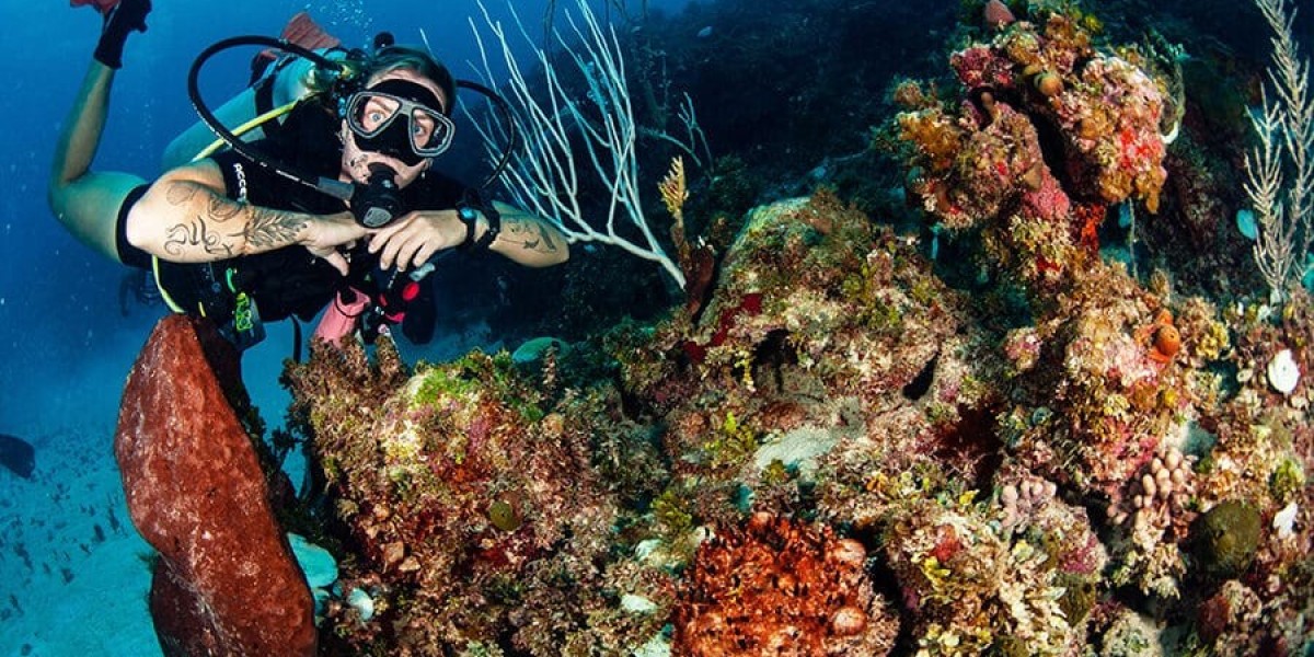 Discover Exceptional Diving Experiences in Marsa Alam