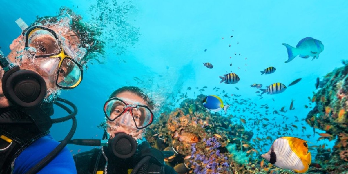 Experience World-Class Diving in the Heart of Marsa Alam