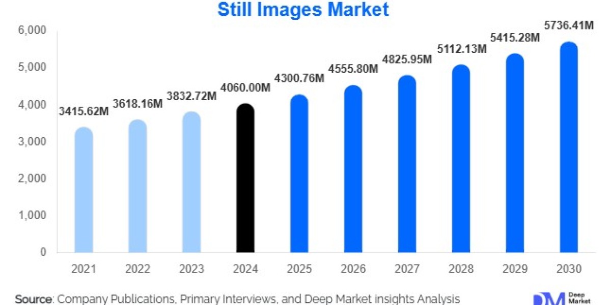 Still Images Market Size and Share Overview