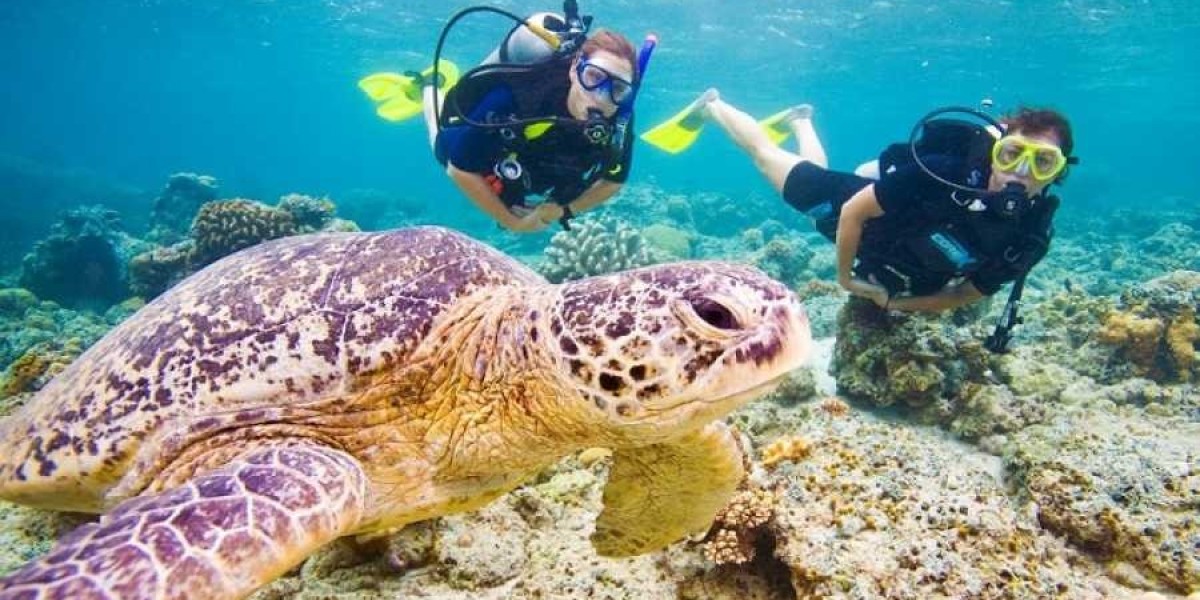 Your Complete Guide to Diving in Marsa Alam