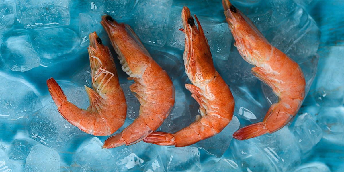 Report on Frozen Shrimp Manufacturing Plant Setup with Cost Analysis & Requirements