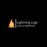 Lightning Logs
