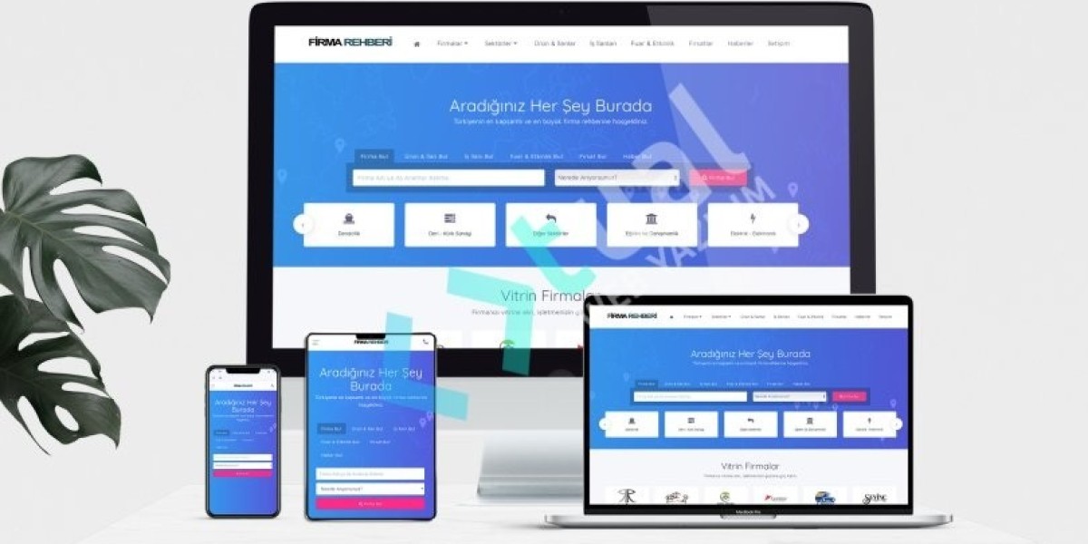 Düz Çatı penceresi