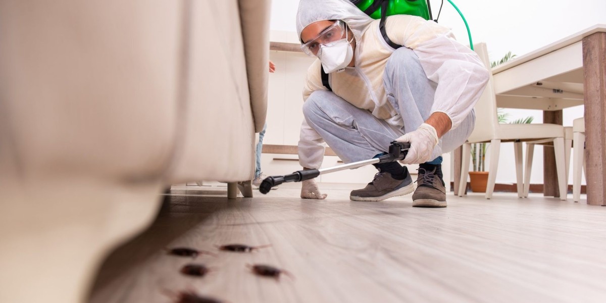 Commercial Pest Control Services for Safe Business Environments