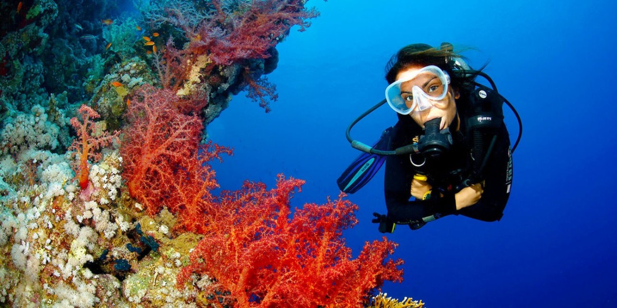 Discover the Ultimate Red Sea Adventure with Deep South Divers in Marsa Alam