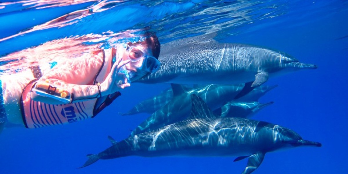 An Unforgettable Diving Experience in Marsa Alam