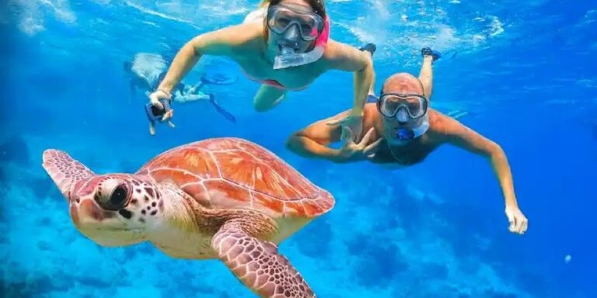 Discover the Beauty of Marsa Alam Diving in the Southern Red Sea