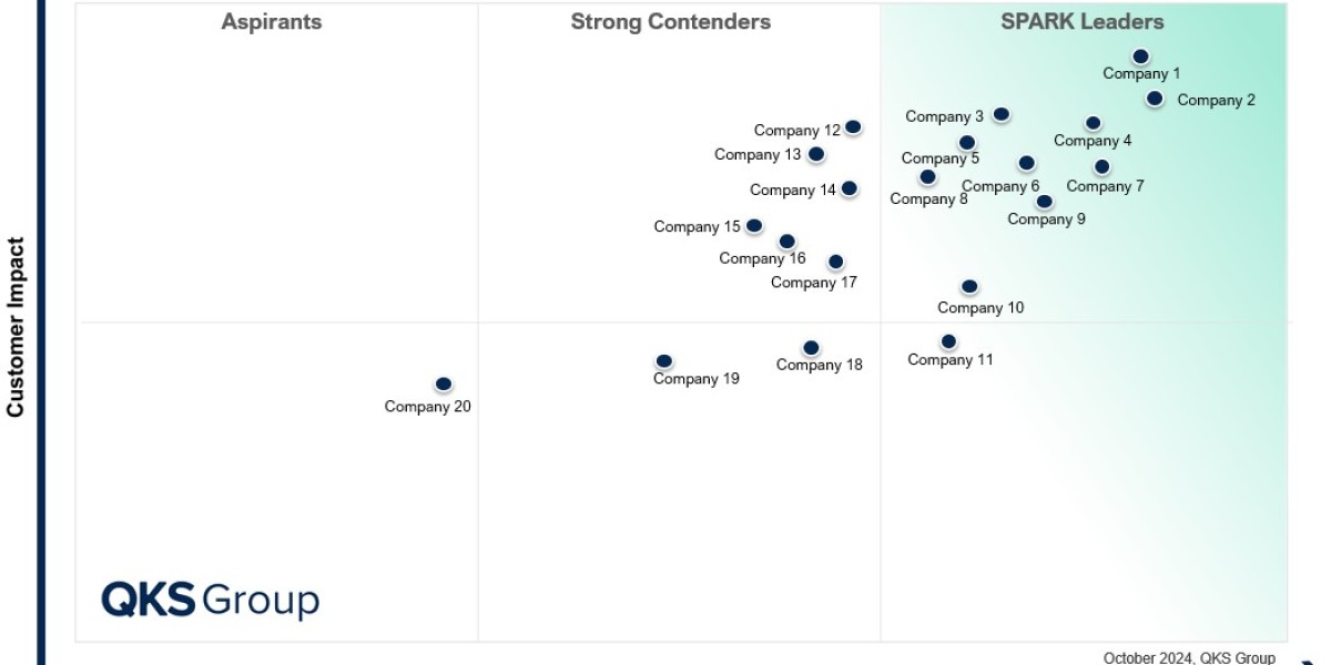 Global Finance, Accounting, and BPO Market with SPARK Matrix Insights