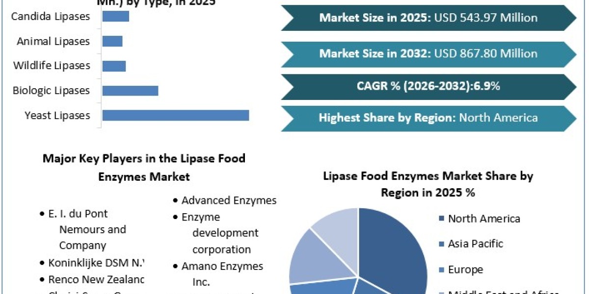 Lipase Enzymes’ Role in Bakery, Dairy, and Functional Foods Growth