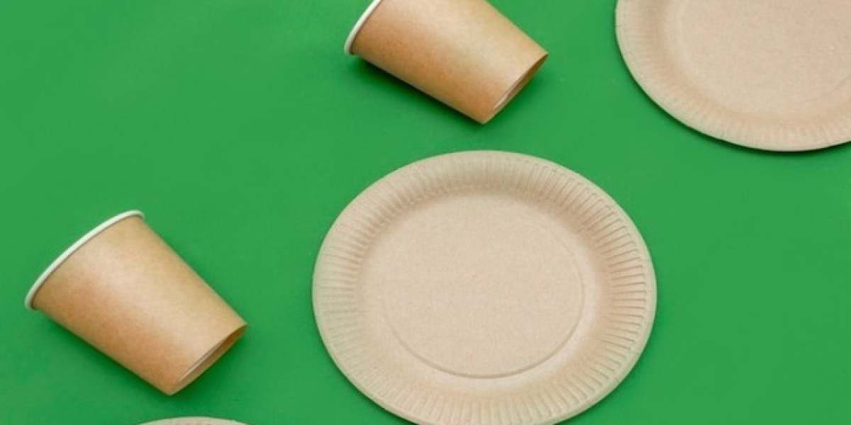 Eco-friendly Paper Plates Market 2026 | Present Scenario and Growth Prospects 2036
