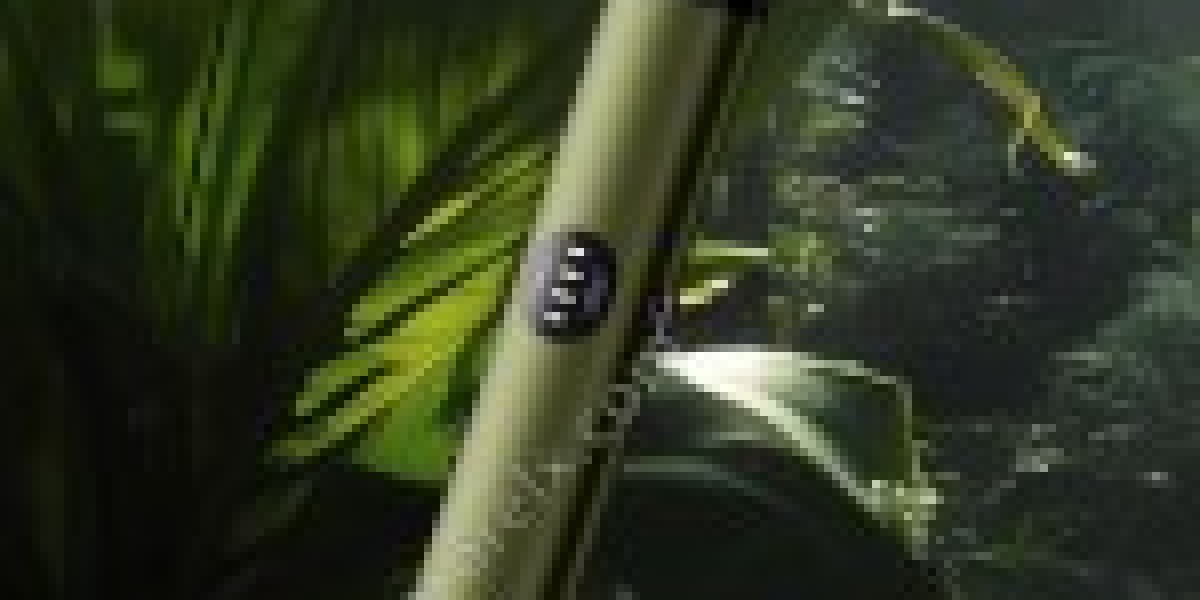 รู้จัก RELX รุ่นหก แบบครบทุกมุม