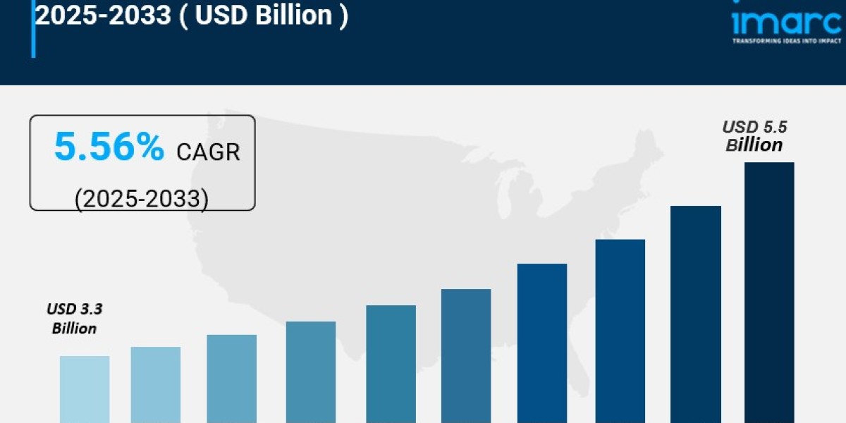 Electric Guitars Market 2025: Size, Trends, Growth, Latest Insights and Forecast to 2033