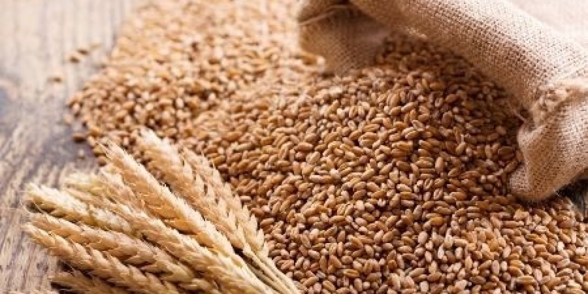 Wheat Export from India: Trends, Data & Market Insights